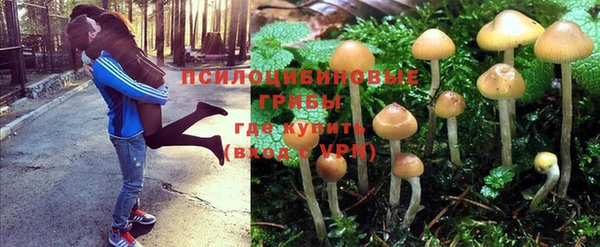 гидропоника Мегион
