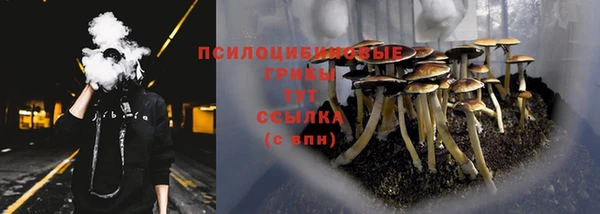 apvp Медногорск