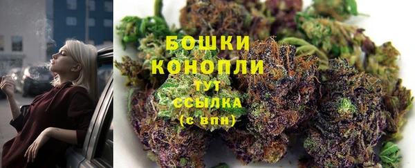 apvp Медногорск