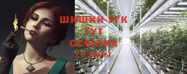 гидропоника Мегион
