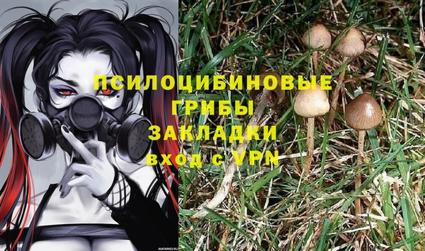 гидропоника Мегион
