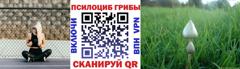 Псилоцибиновые грибы Magic Shrooms Александровск