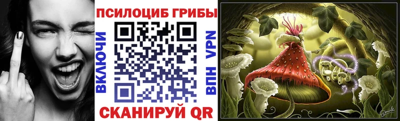 Галлюциногенные грибы Psilocybine cubensis  закладки  Александровск 
